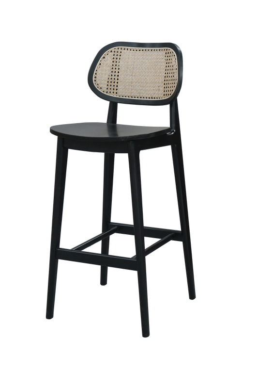 Caspian Bar Stool