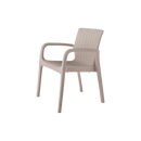 Alondra Outdoor Arm Chair