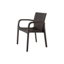 Alondra Outdoor Arm Chair