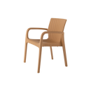 Alondra Outdoor Arm Chair