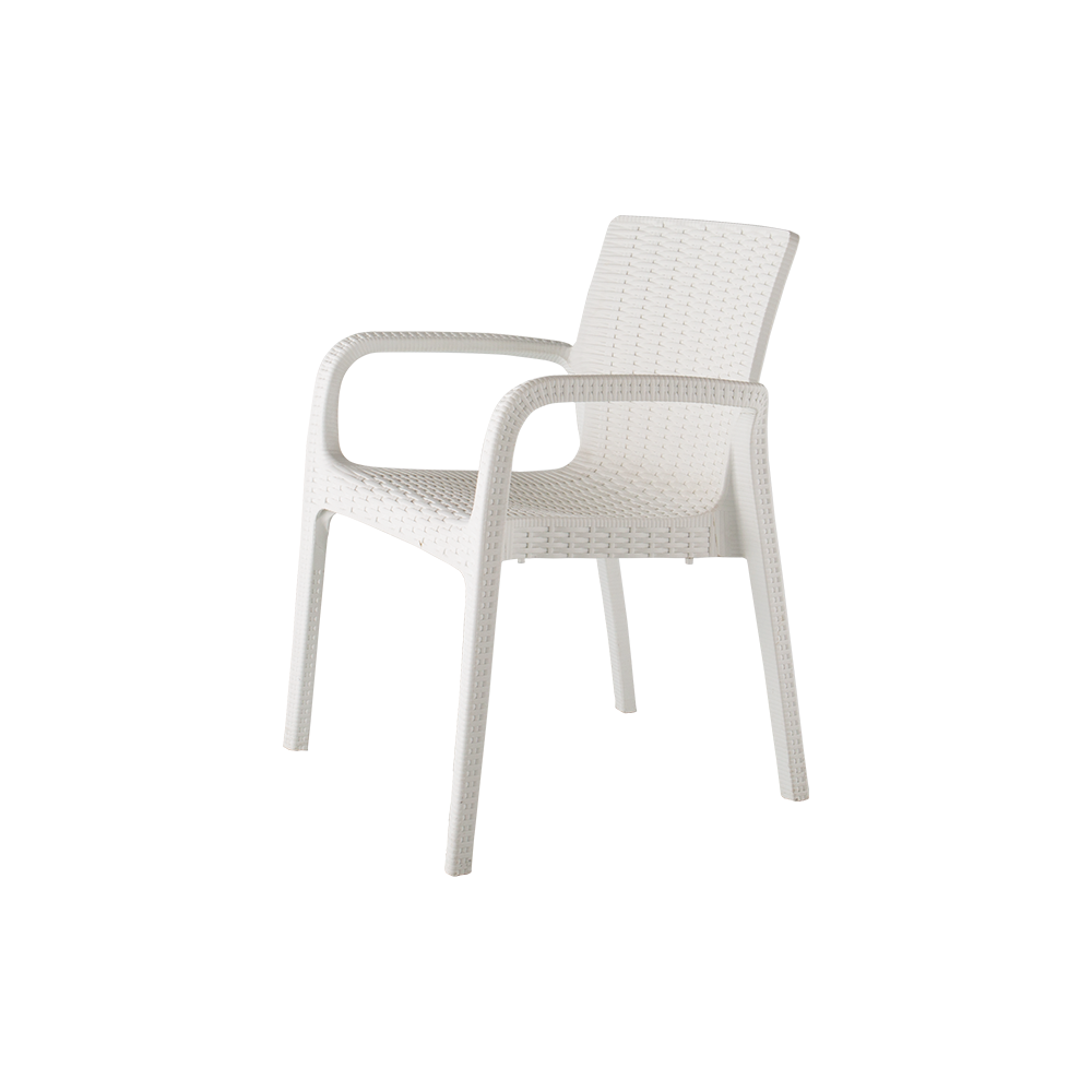 Alondra Outdoor Arm Chair