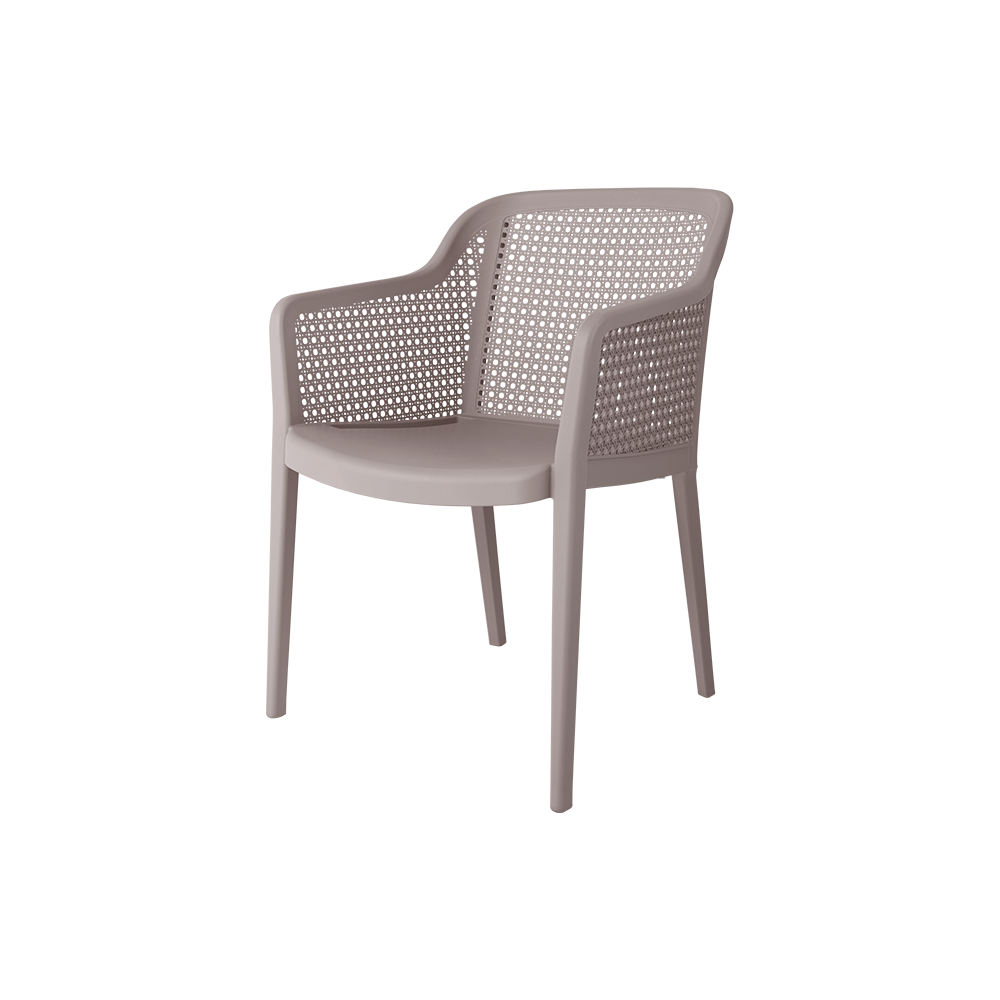 Delfina Outdoor Arm Chair