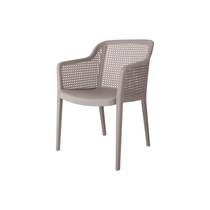 Delfina Outdoor Arm Chair