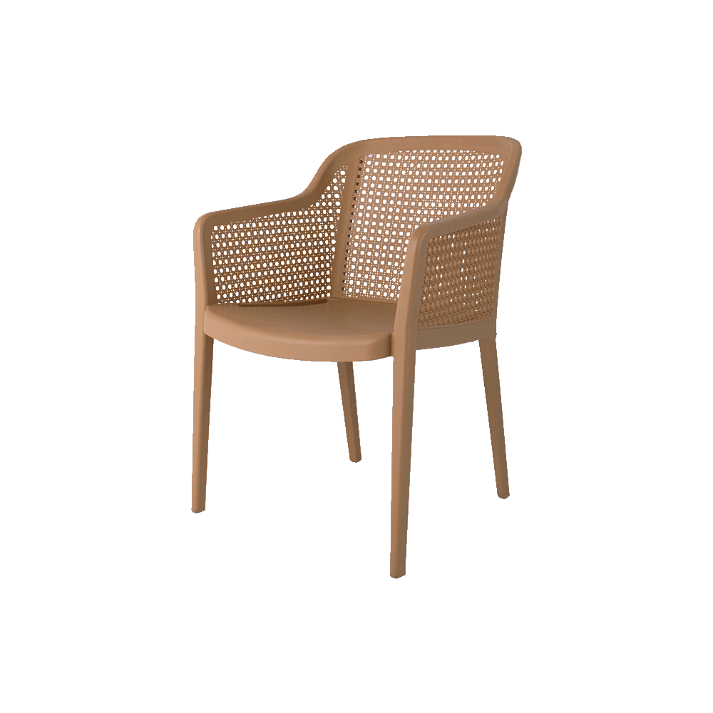 Delfina Outdoor Arm Chair