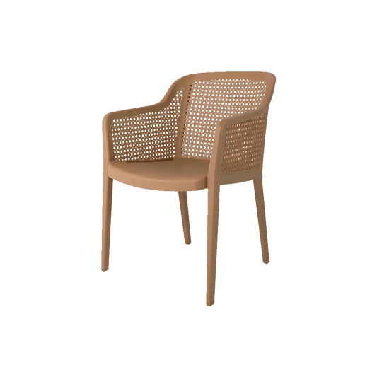 Delfina Outdoor Arm Chair