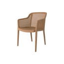 Delfina Outdoor Arm Chair