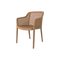 Delfina Outdoor Arm Chair