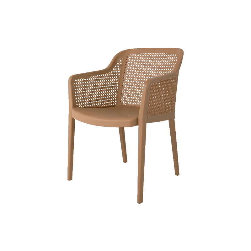 Delfina Outdoor Arm Chair