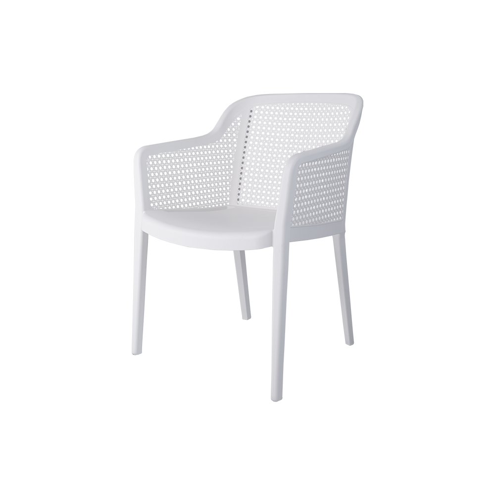Delfina Outdoor Arm Chair