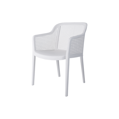 Delfina Outdoor Arm Chair