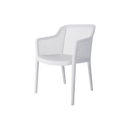 Delfina Outdoor Arm Chair