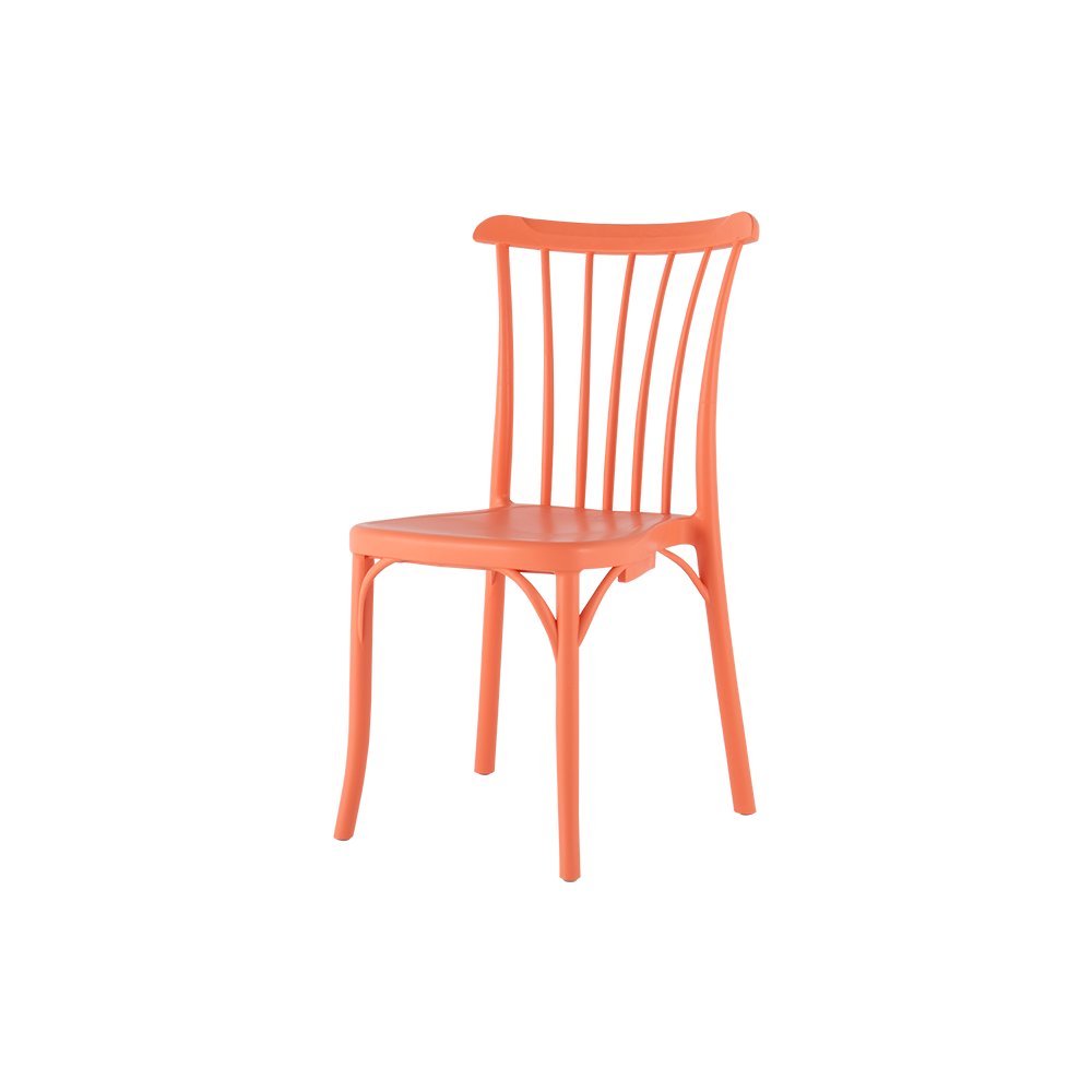 Aleta Side Chair