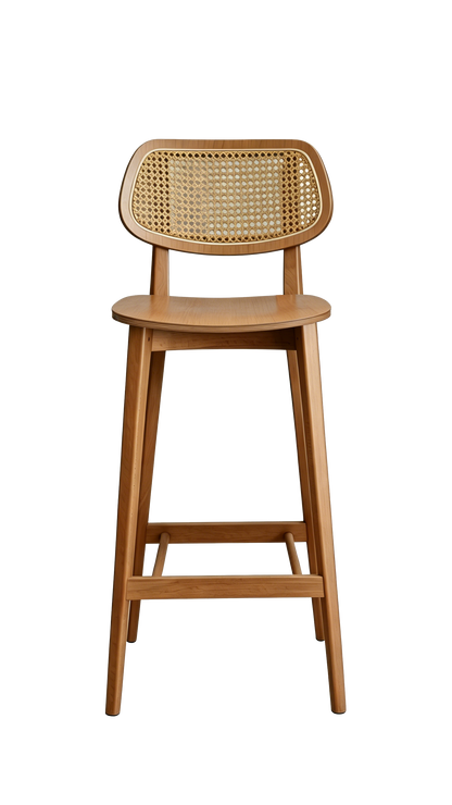 Caspian Bar Stool