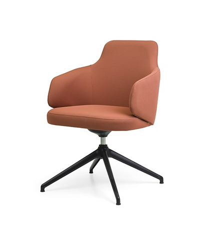 Nuzzle Liras Arm Chair