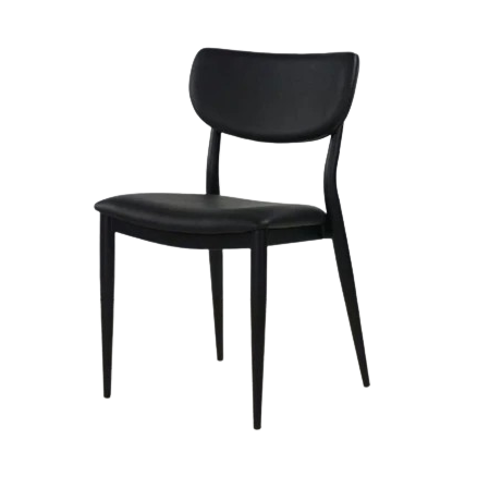 Coco Metal Side Chair