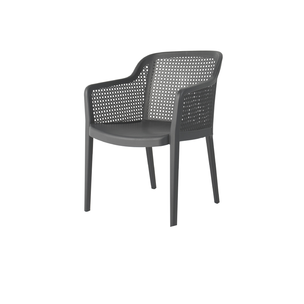 Delfina Outdoor Arm Chair