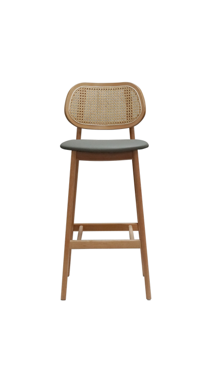 Caspian Bar Stool