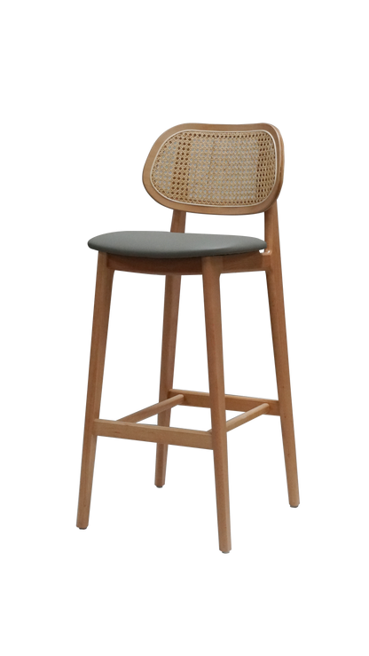 Caspian Bar Stool