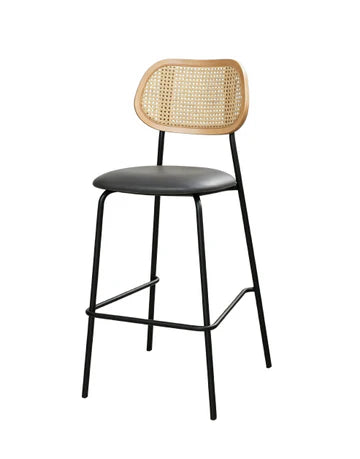 Caspian Bar Stool