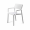 Trill Arm Chair