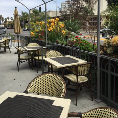 Louisa Outdoor Arm Chair