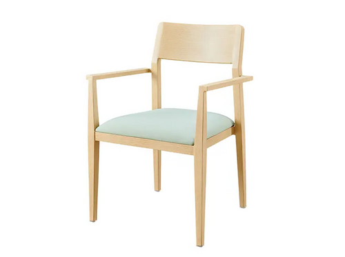 Lindale Metal Arm Chair