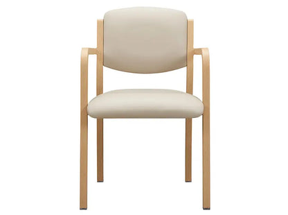 Ashby Metal Arm Chair