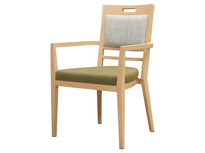 Tilden Metal Arm Chair