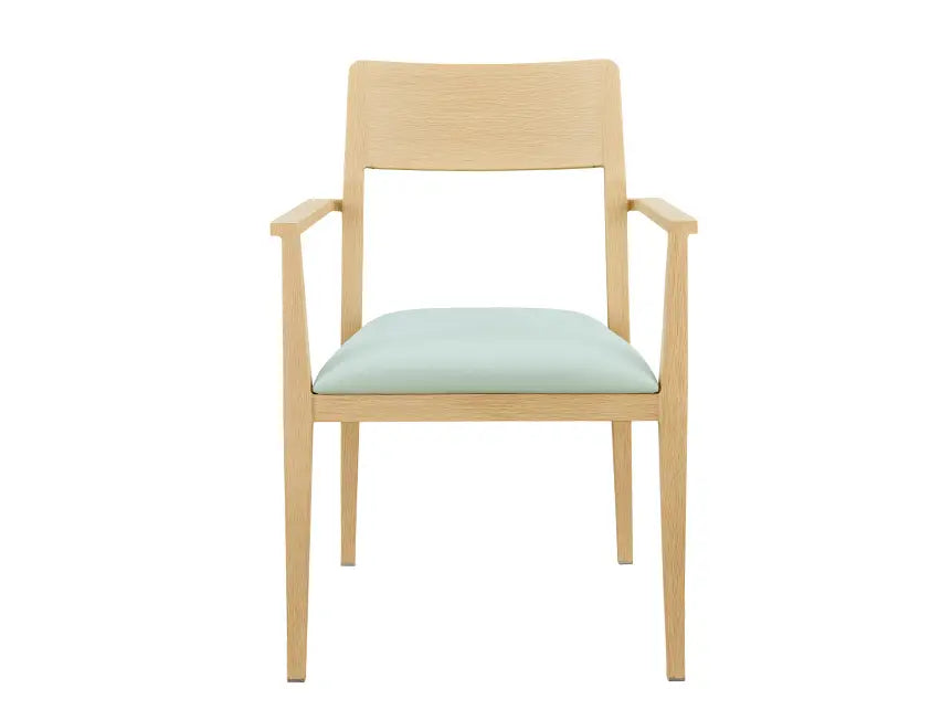 Lindale Metal Arm Chair