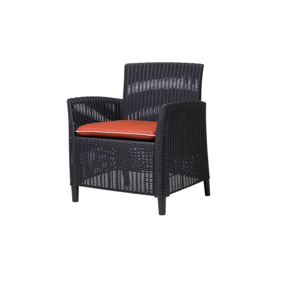 Tranquil Bay Dining Chair