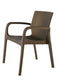 Alondra Outdoor Arm Chair