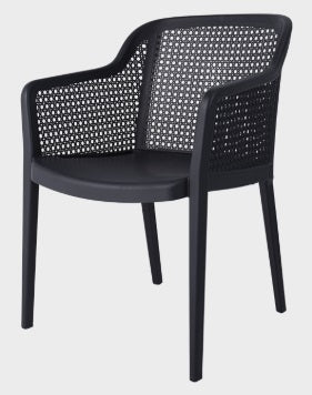 Delfina Outdoor Arm Chair
